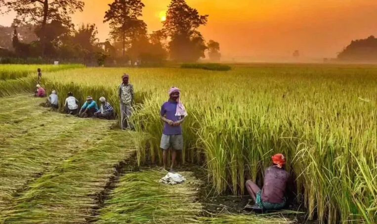 Rural Development: Strengthening the Backbone of India